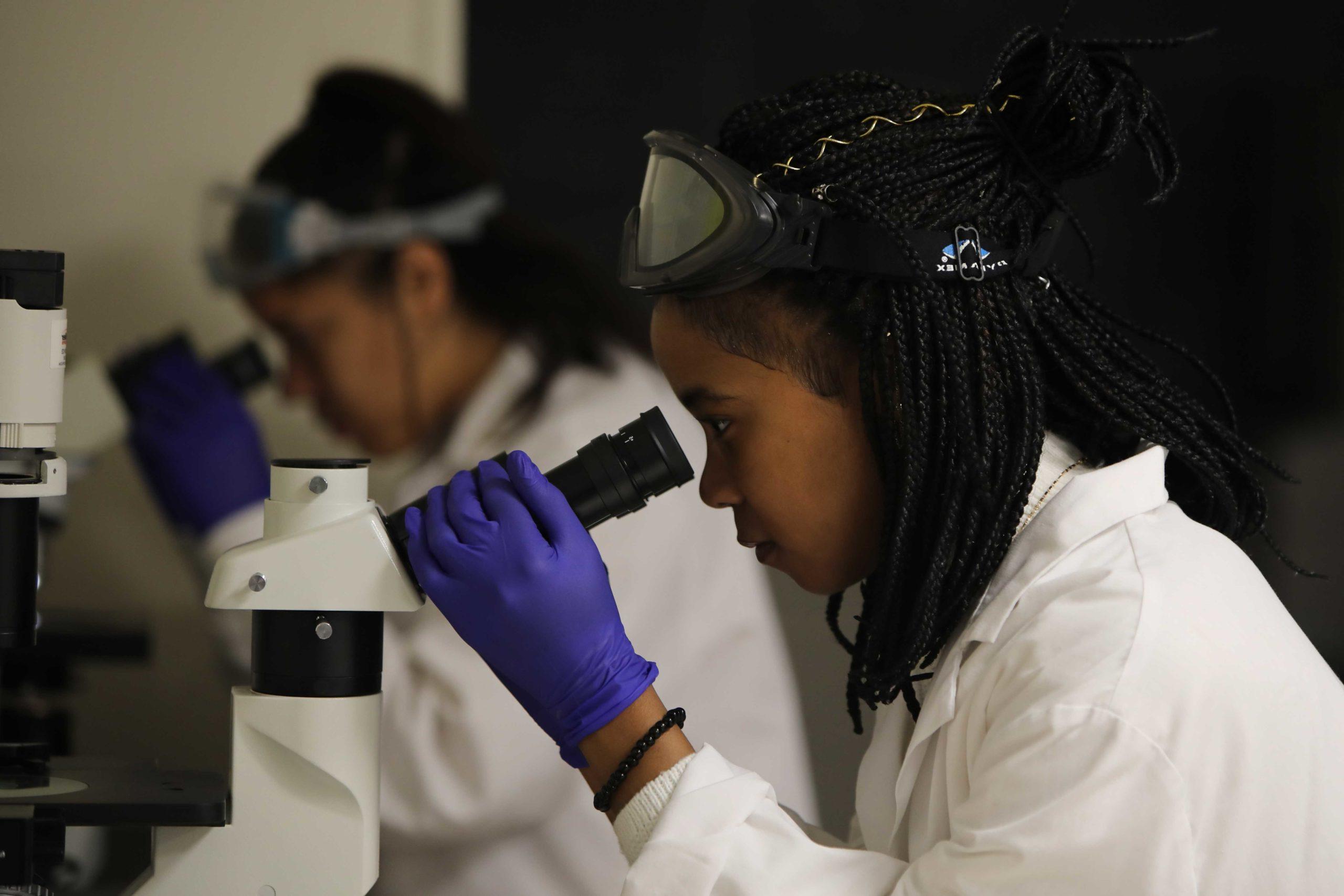 Microbiology Students Working In Lab